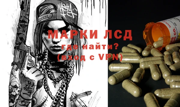 PSILOCYBIN Костерёво