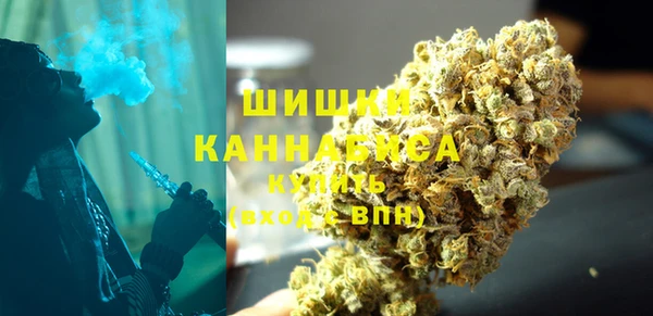 PSILOCYBIN Костерёво