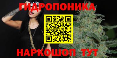 МДПВ Волгодонск