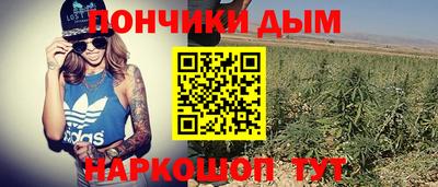 индика Абинск