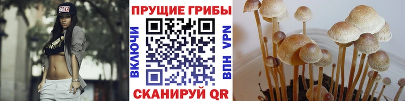Псилоцибиновые грибы MAGIC MUSHROOMS  MEGA ТОР  Рубцовск 