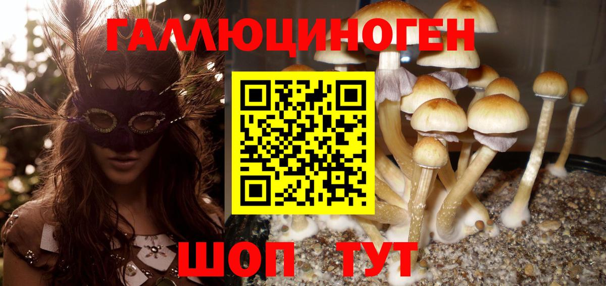Галлюциногенные грибы GOLDEN TEACHER Рубцовск