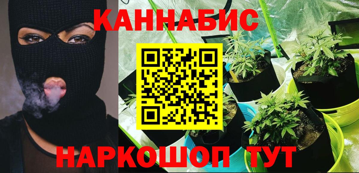 Конопля ГИДРОПОН  Вход с VPN  Рубцовск  Канабис MAZAR 